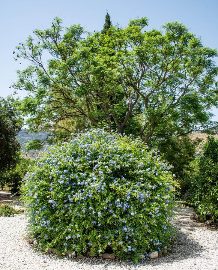 Finca El Limonar Alora Exteriör bild